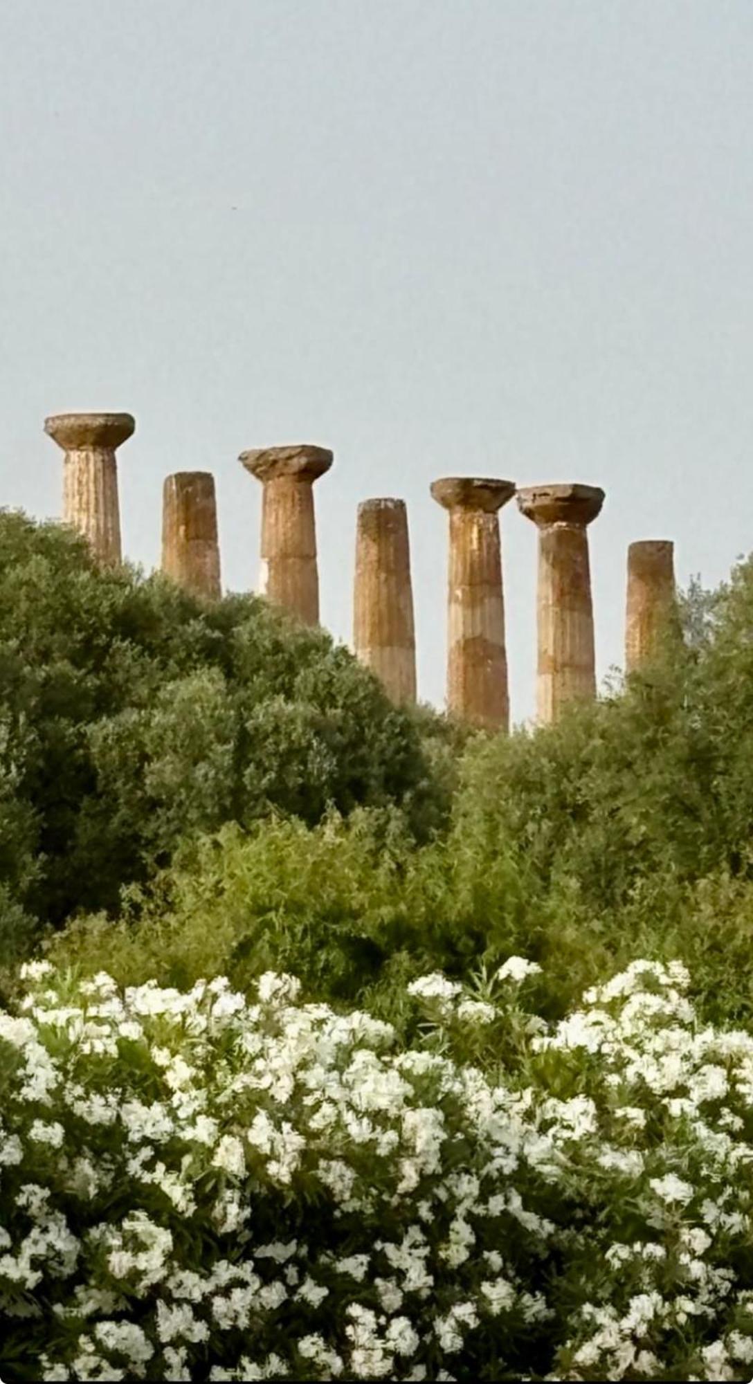 Nella Valle Dei Templi E Al Mare Villa *